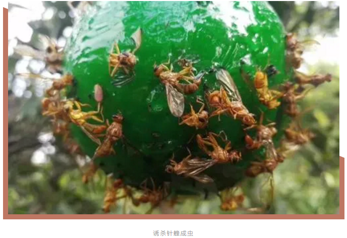 圖片1.png