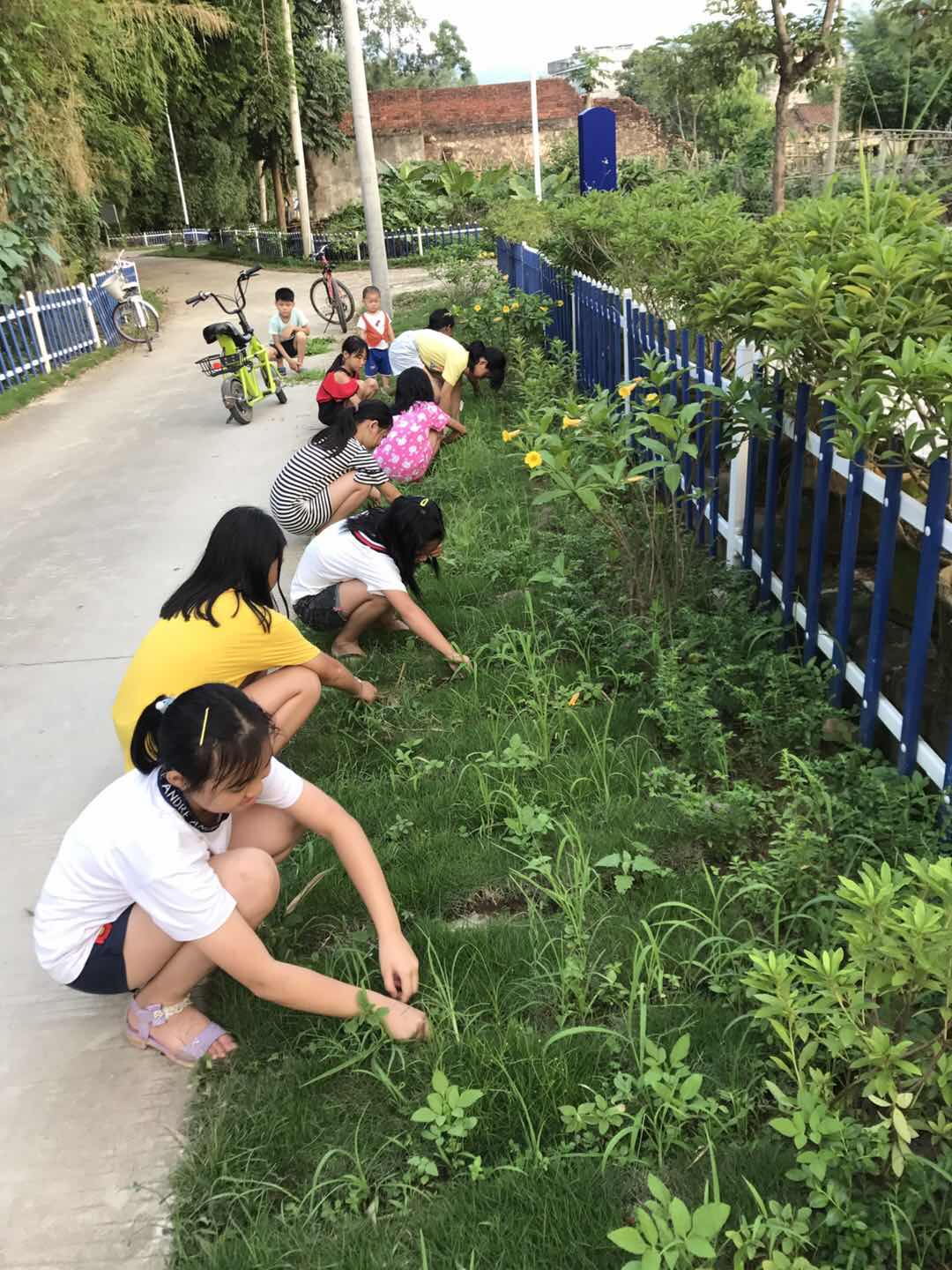 水陂村少先隊(duì)員們到學(xué)校附近清理雜草