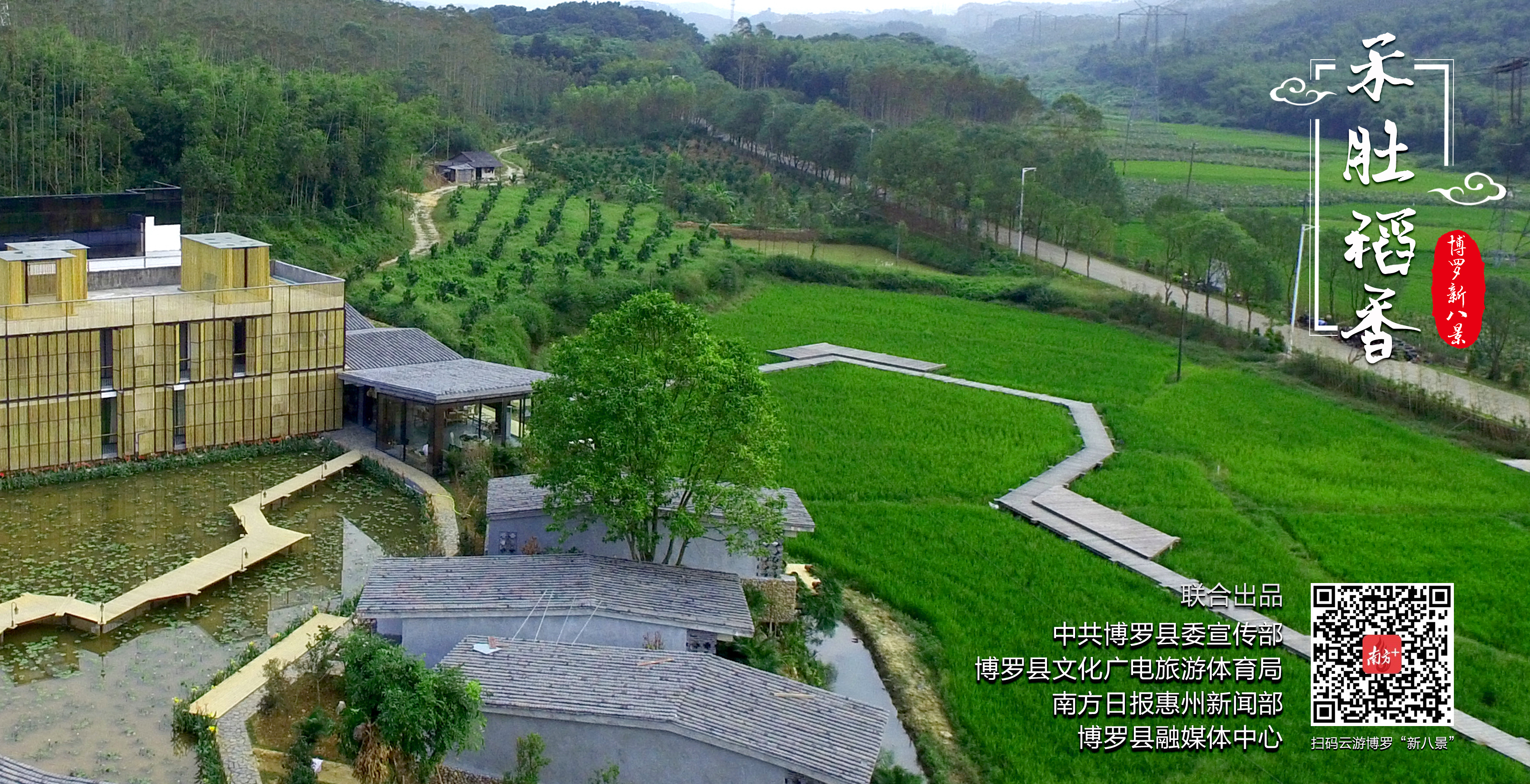 6.禾肚稻香.JPG