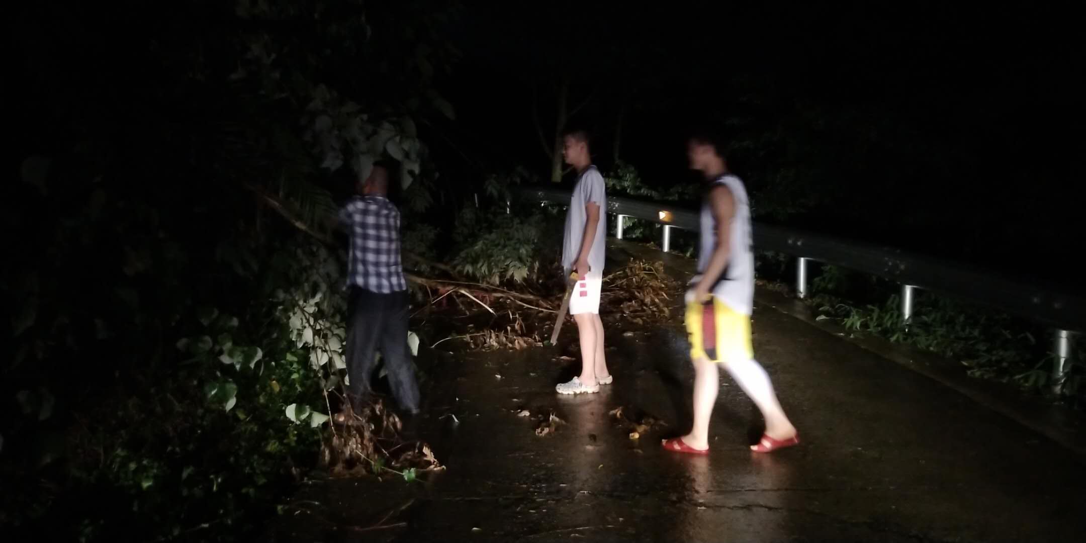 鎮(zhèn)村干部、群眾積極清理路障