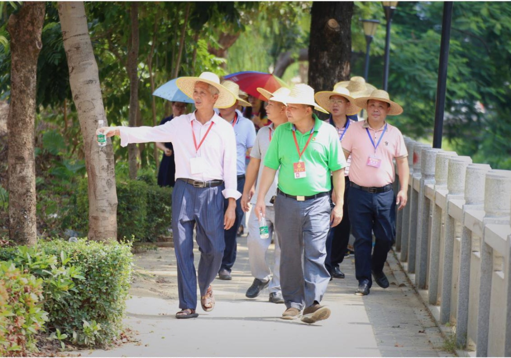 6sjAnjRdiz1595325259_看圖王.jpg