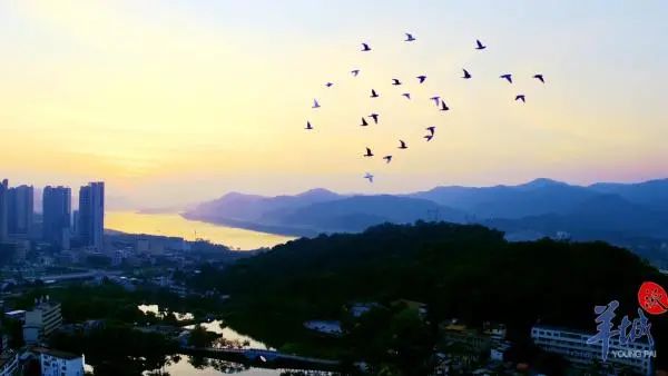 浮碇朝曦 林波 攝
