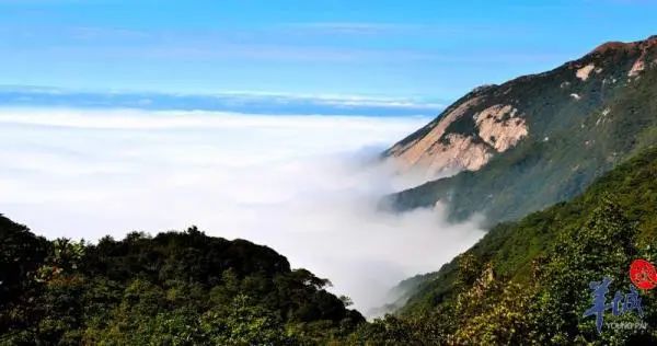 羅浮仙境 黃森靈 攝
