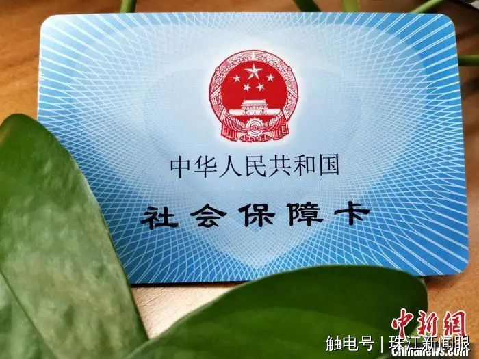 社會保障卡資料圖。孫宏瑗 攝