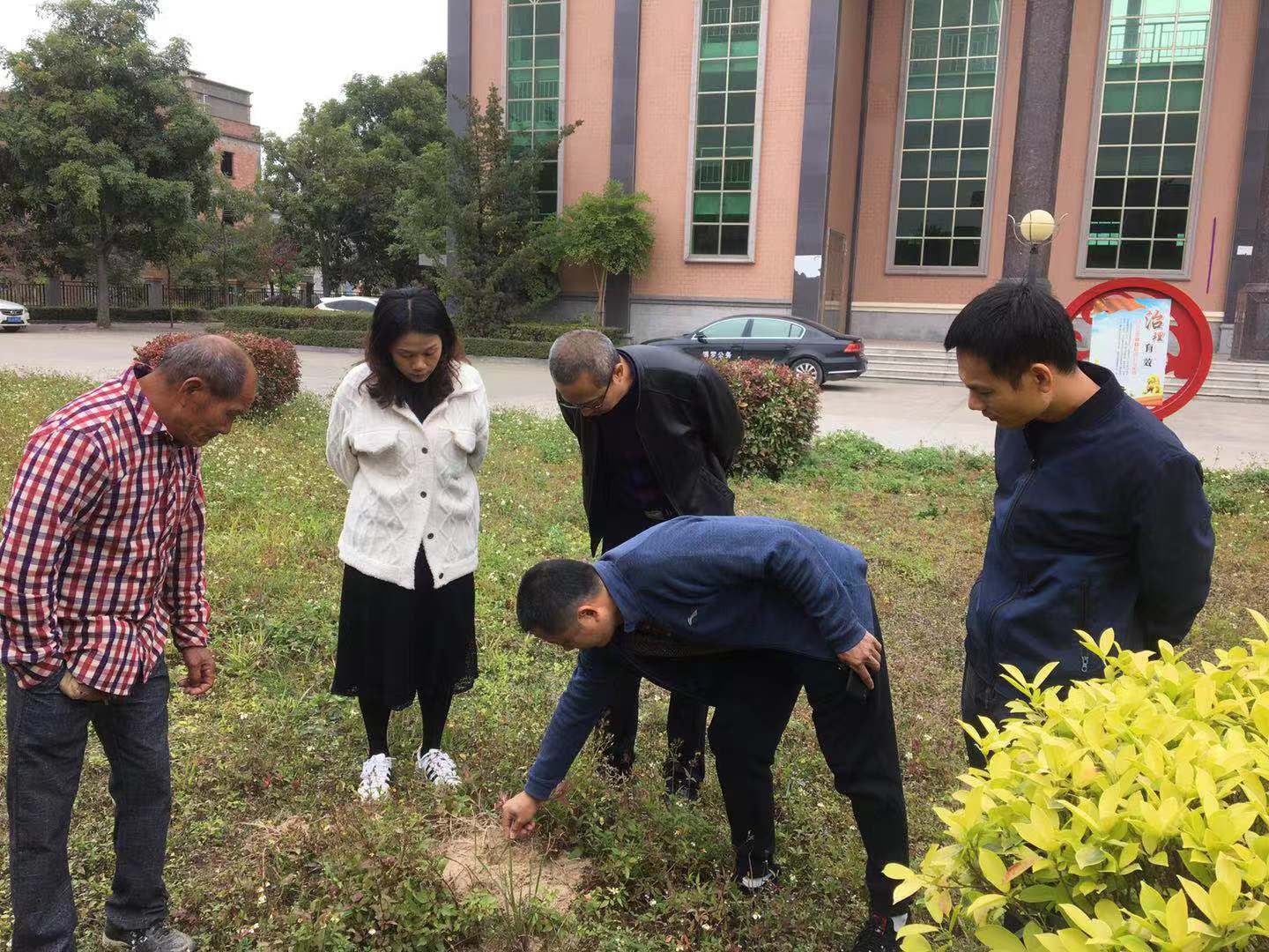 現場檢查紅火蟻防控效果.jpg