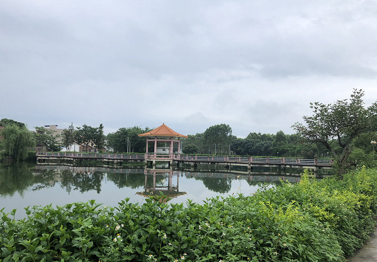 永豐村綠化