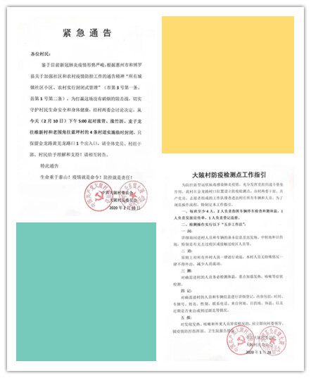 0213黨員帶頭上一線，村民暖心送物資——公莊鎮大陂村從軟弱渙散村逆襲轉變1_2