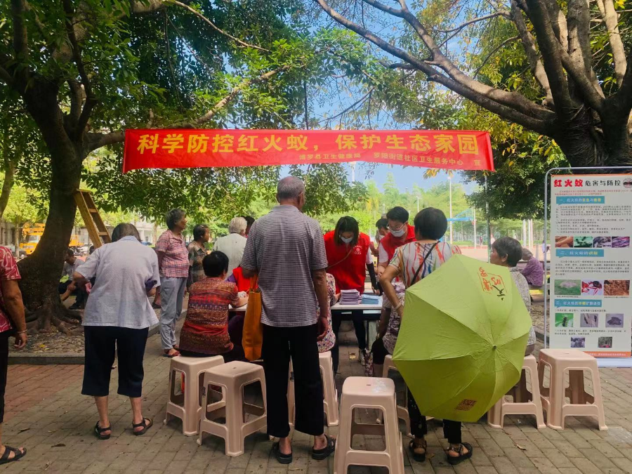 已編輯圖片