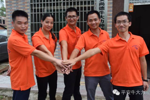 柏塘5名80后大學生回村創立平安尚德牛大力合作社