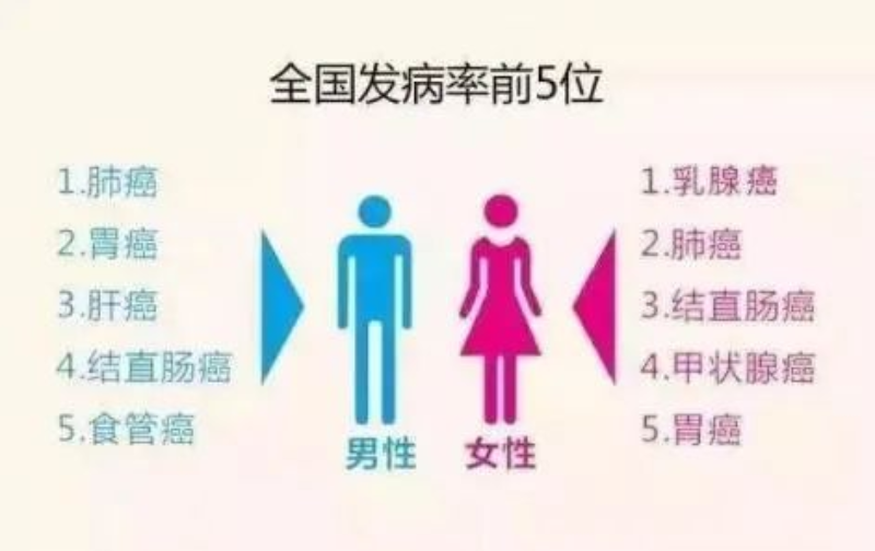 文章配圖