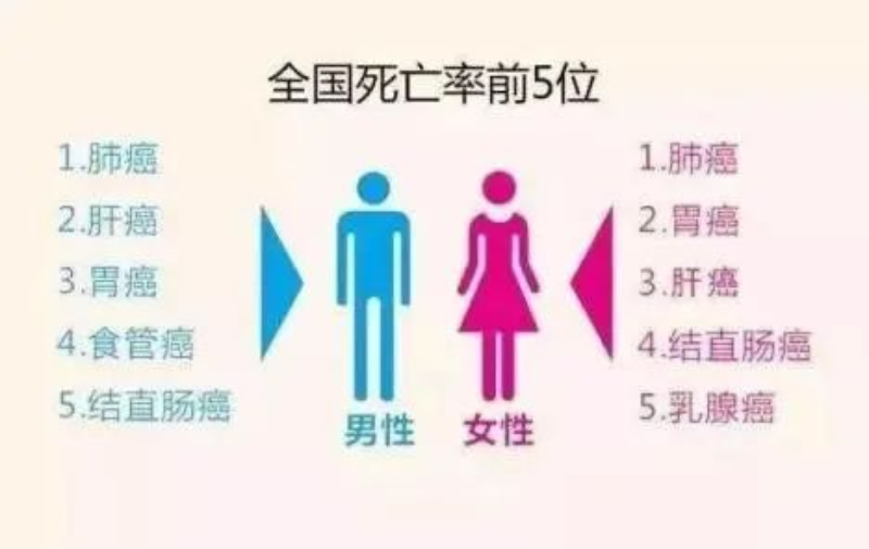 文章配圖