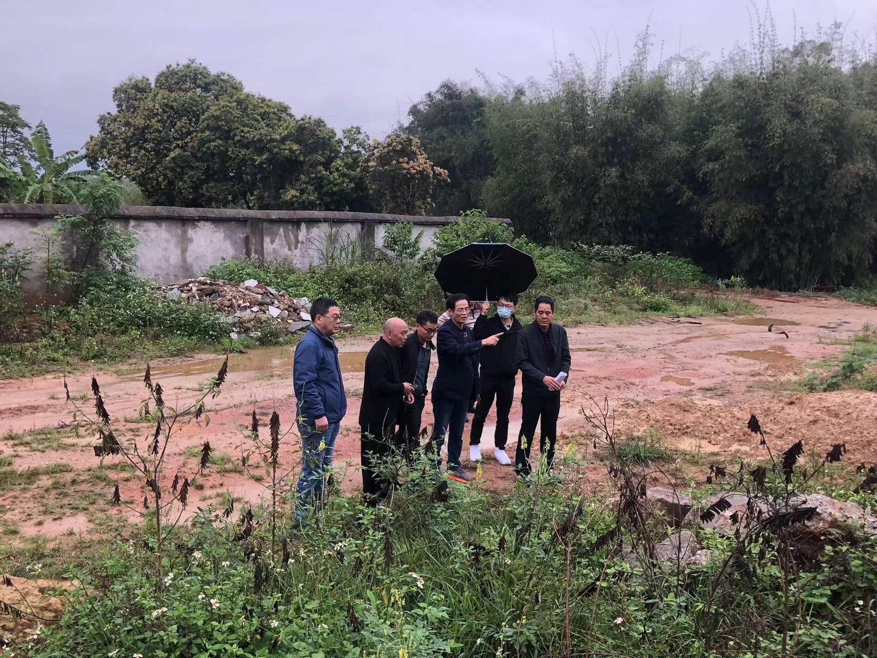 文章配圖