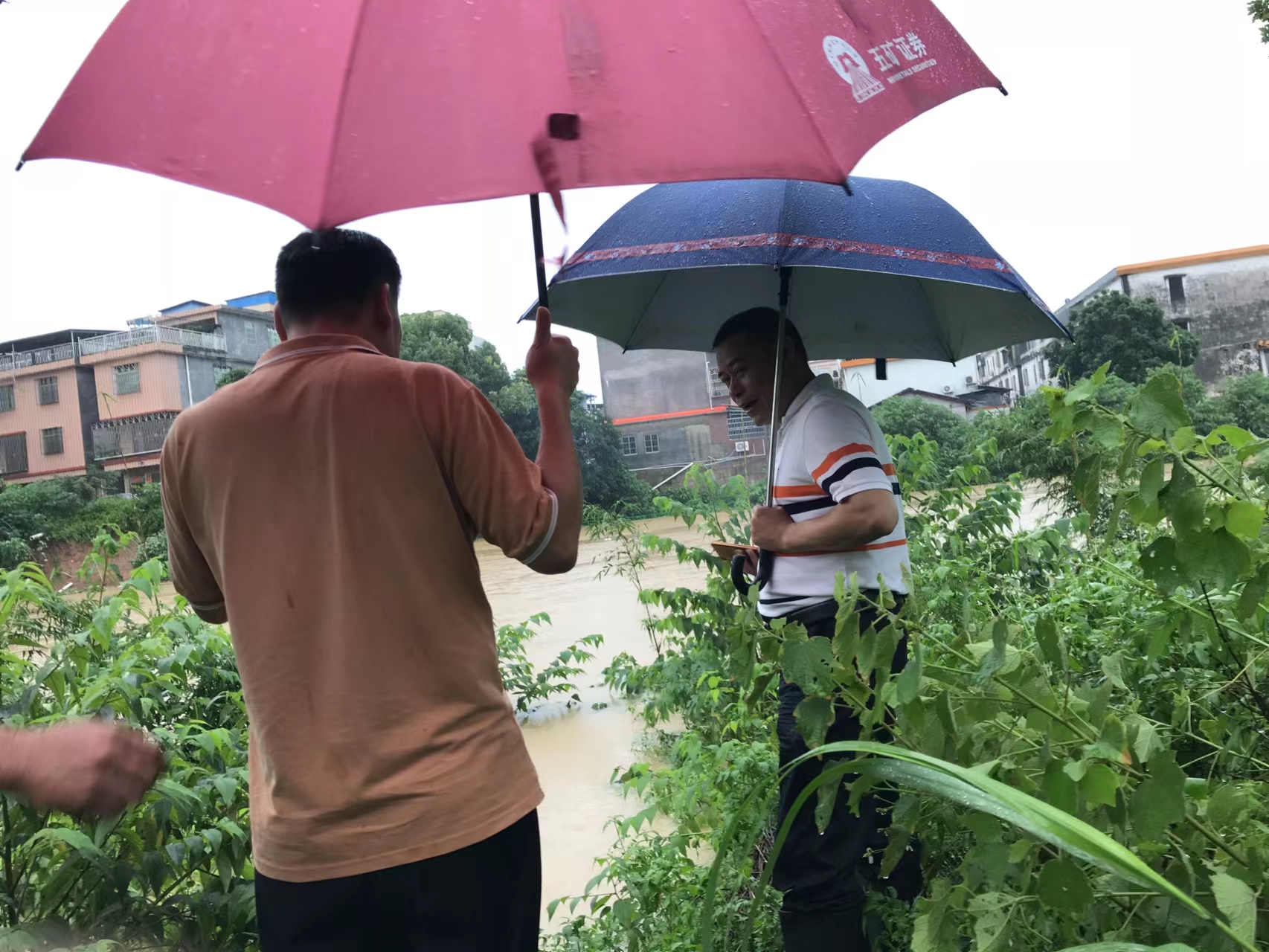 文章配圖