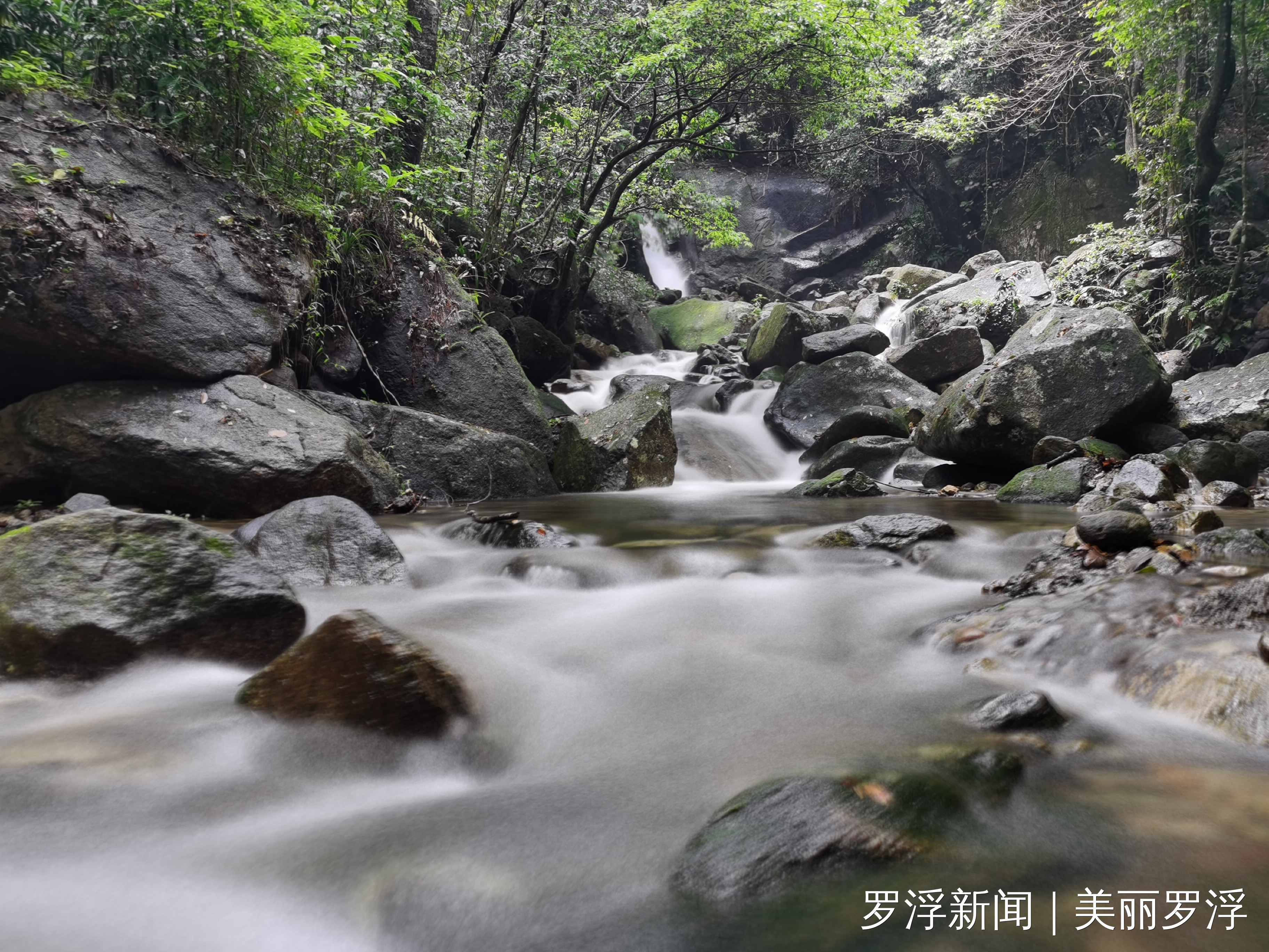 19F5AC2B-346B-42F1-BE61-05B2AB00114E.jpeg