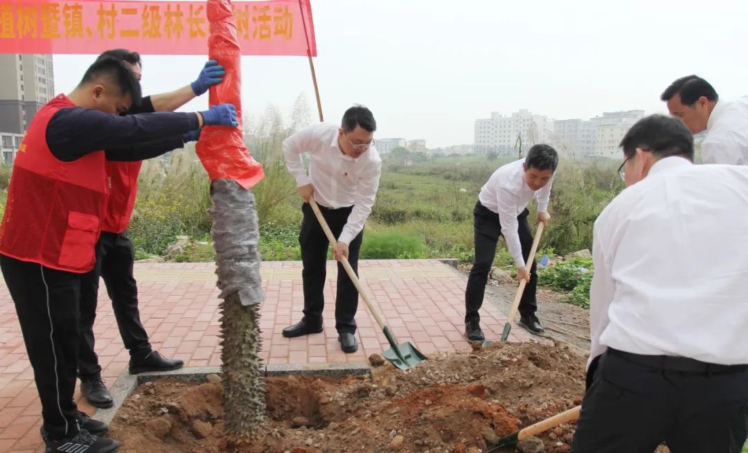 植樹活動.jpg