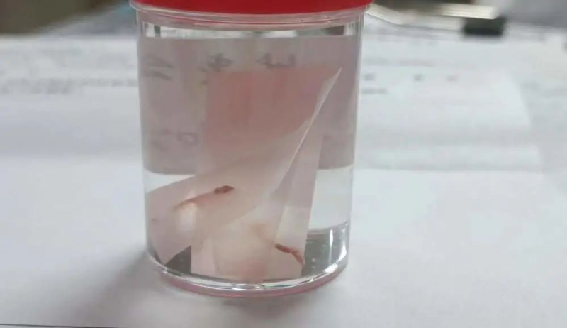 文章配圖