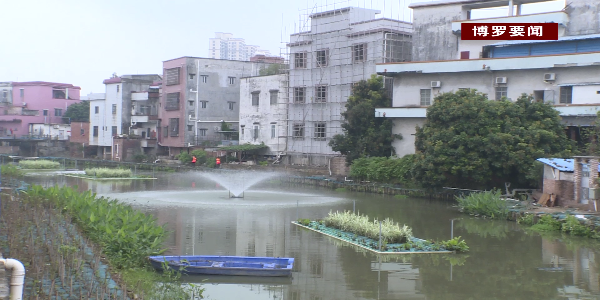 2020博羅新聞0323高清字幕版[00_09_03][20200330-160914].png
