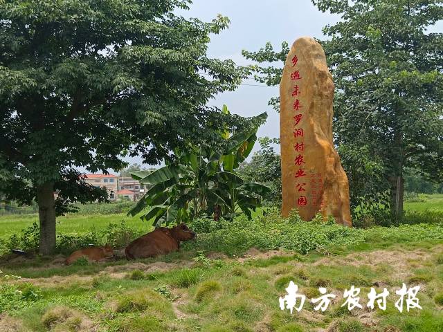 田園觀光、農旅融合的農業公園