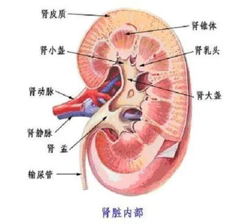 文章配圖