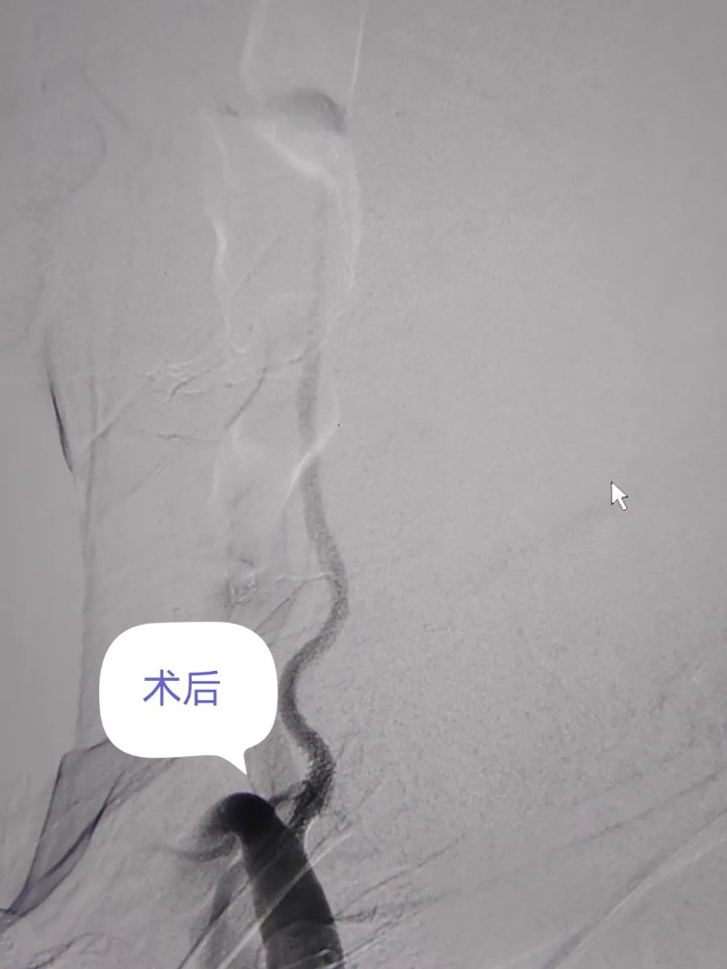 文章配圖