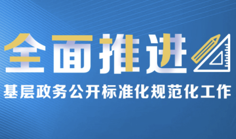 全面推進基層政務公開標準化規范化工作