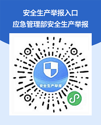 安全舉報系統