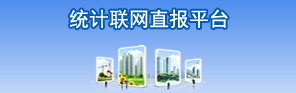 統計聯網直報平臺
