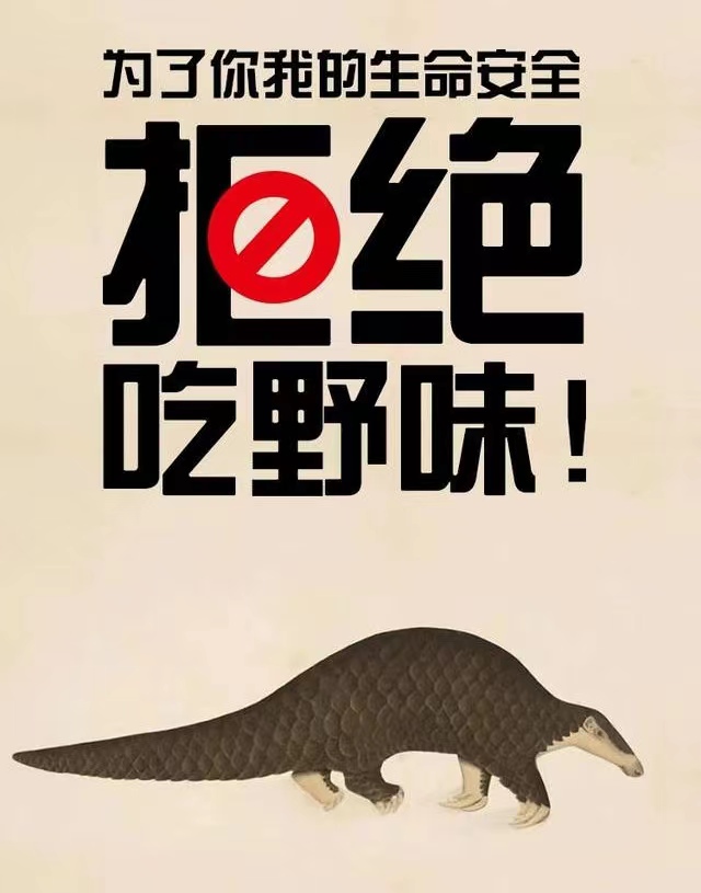 拒絕野味.jpg