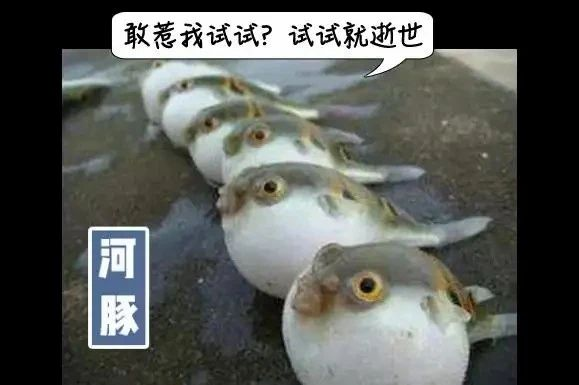 圖片4.png