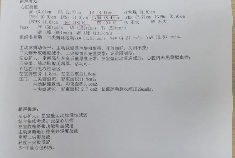文章配圖