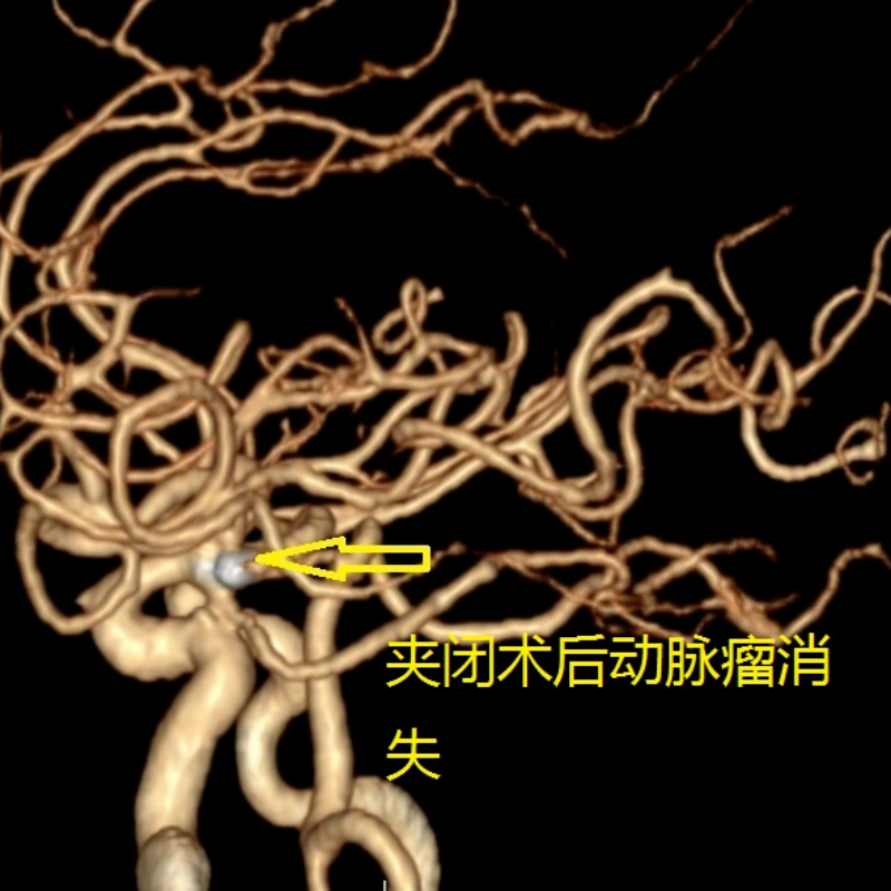 文章配圖