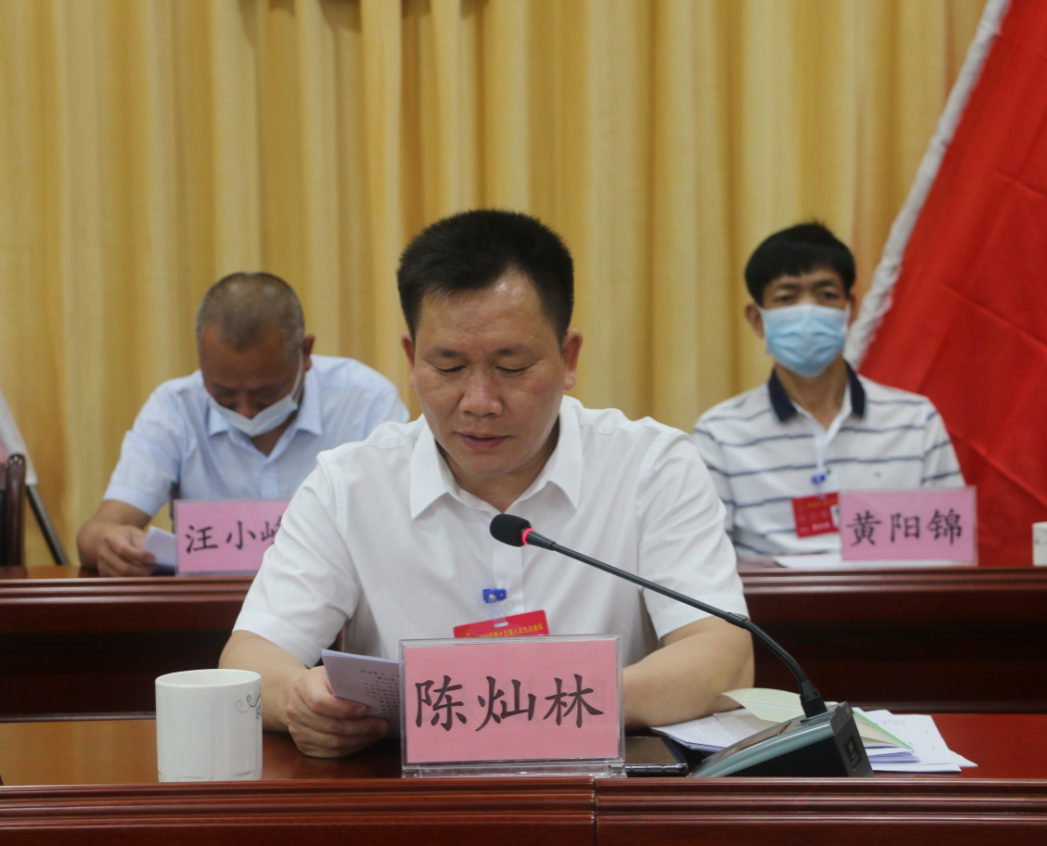 鎮(zhèn)委書記陳燦林主持全體代表大會