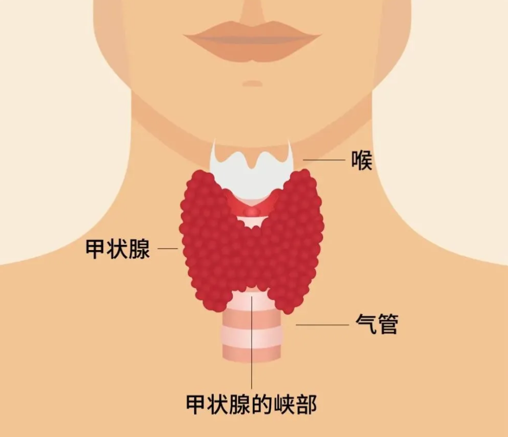 文章配圖