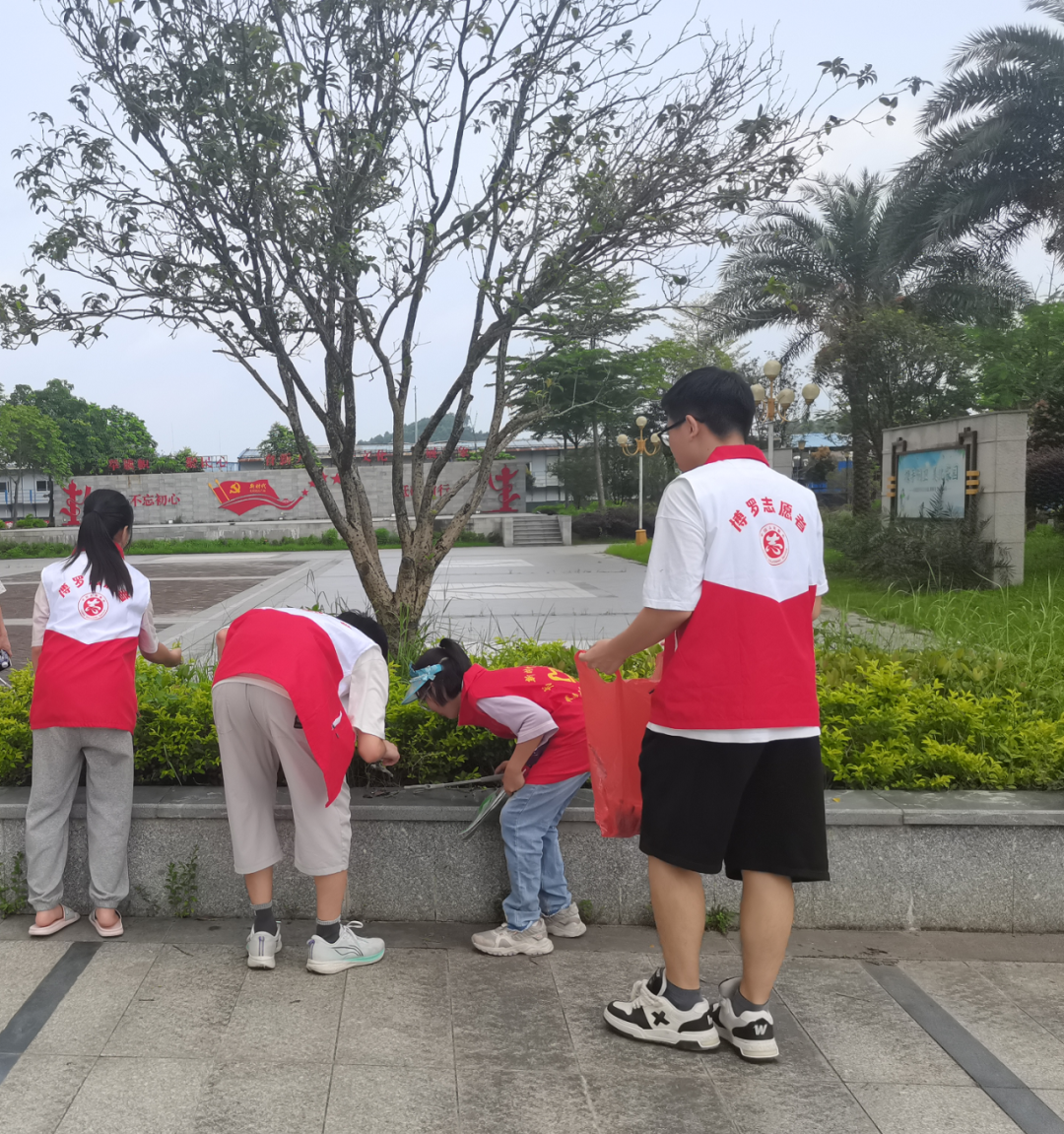 圖片