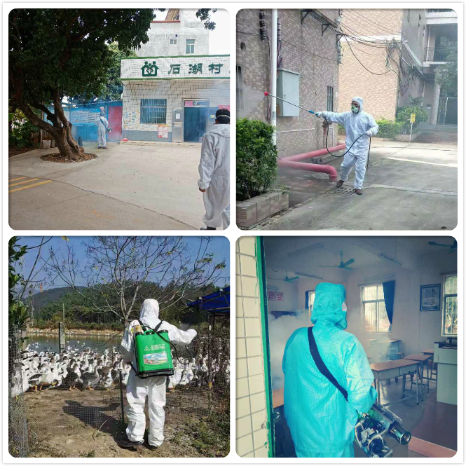 全鎮范圍內進行消殺防控
