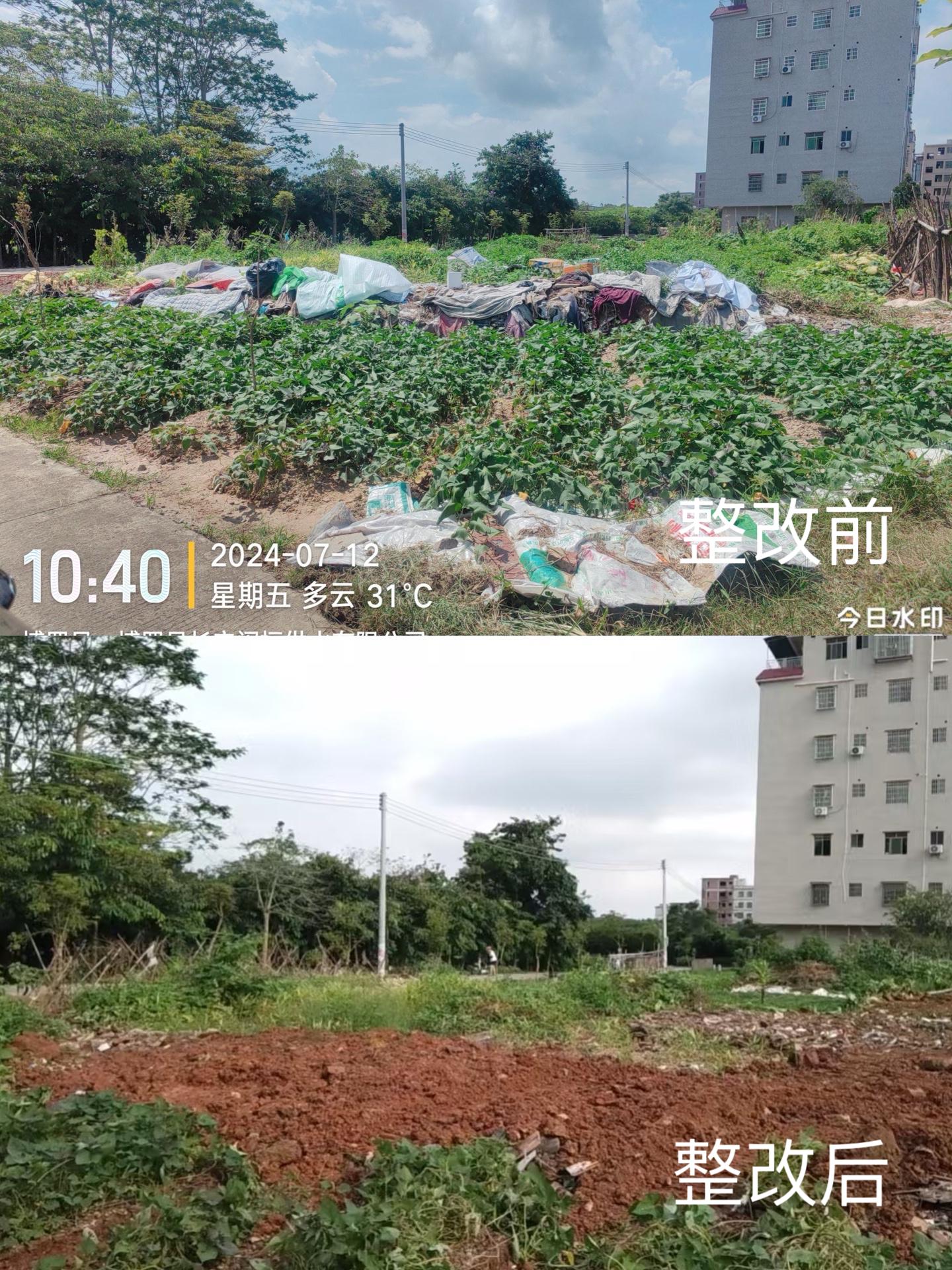 圖片5.jpg