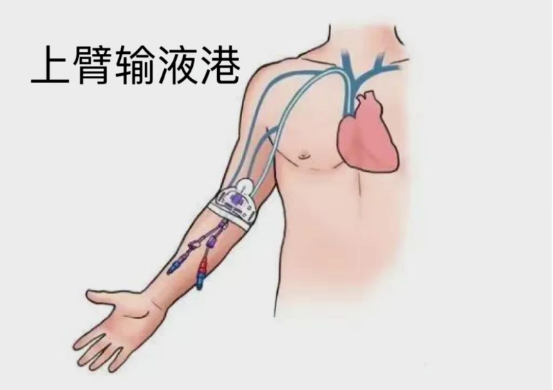 文章配圖