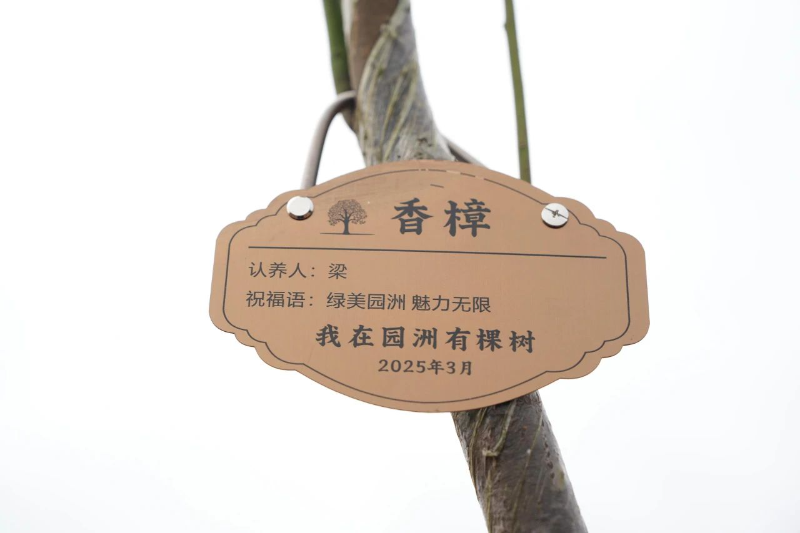 綠美1.jpg