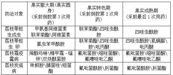 已編輯圖片