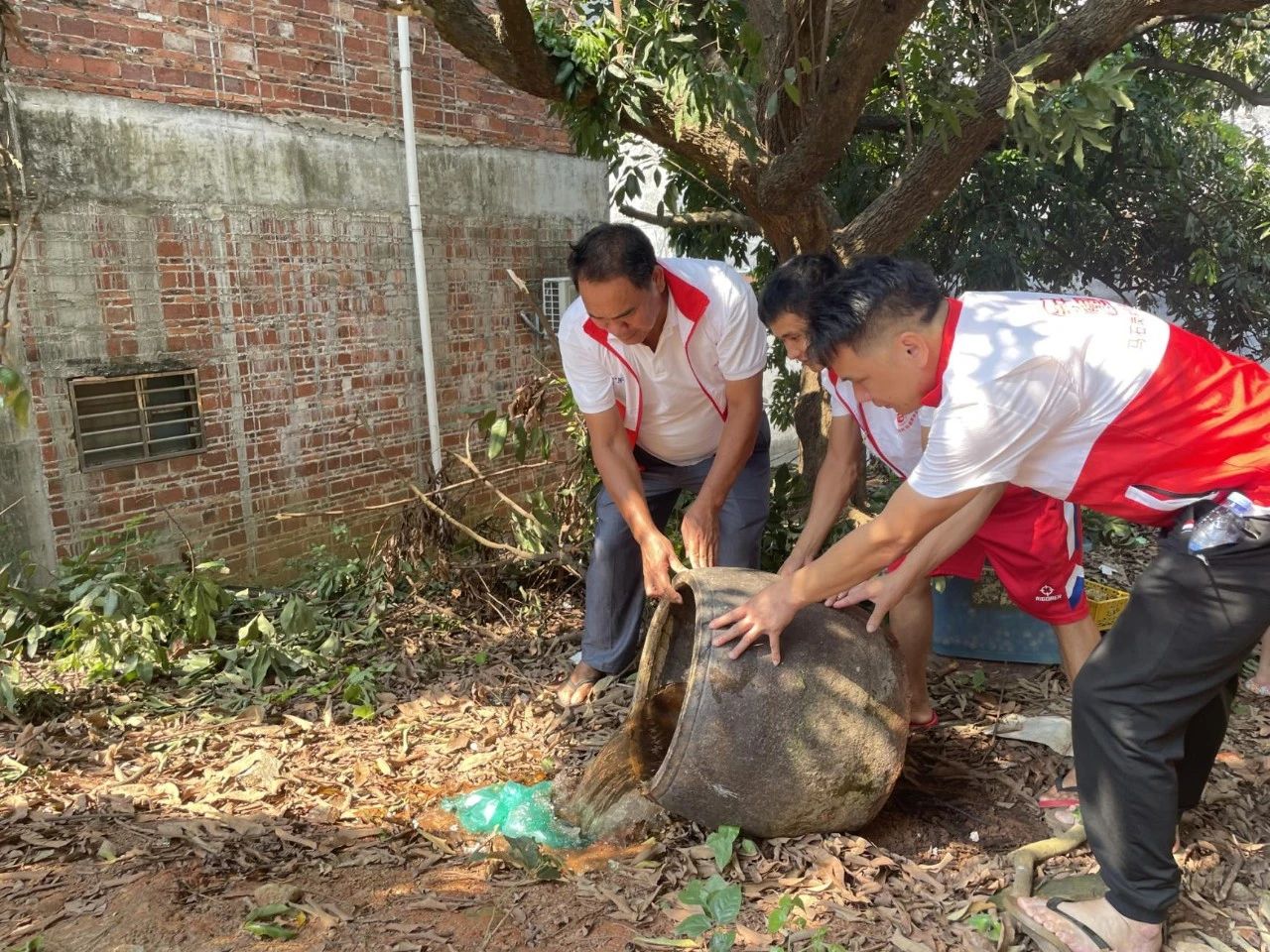 基孔肯雅熱2.jpg