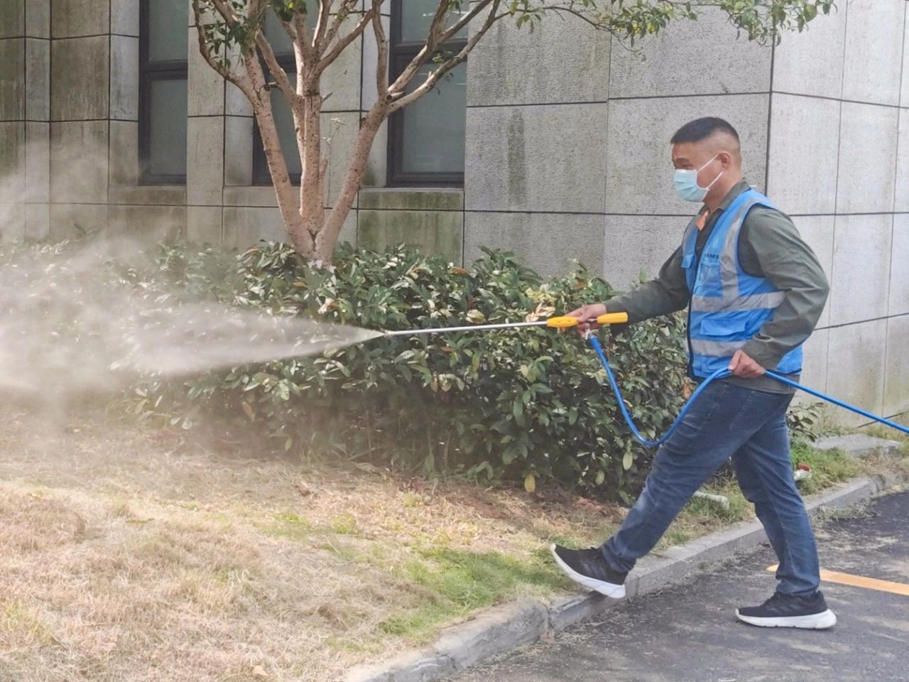 基孔肯雅熱1.jpg