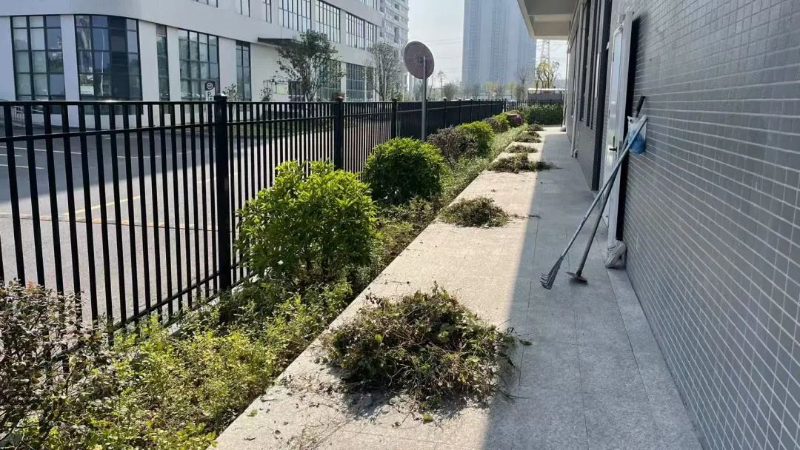 文章配圖