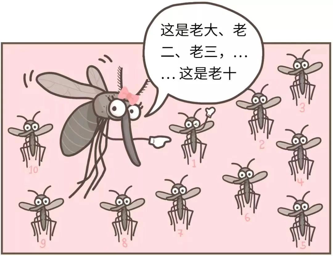 文章配圖