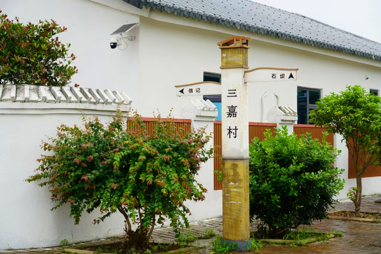文章配圖