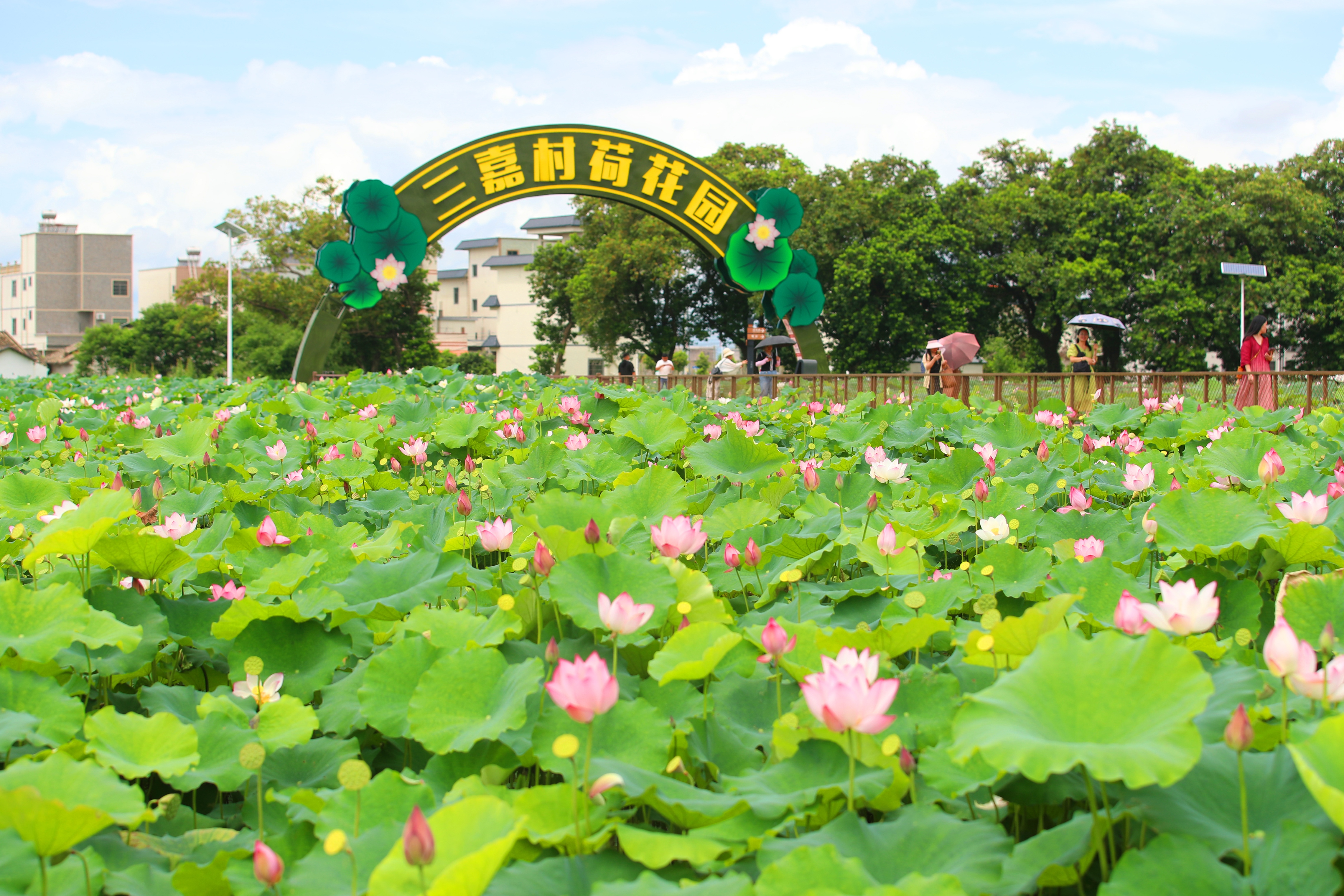 文章配圖