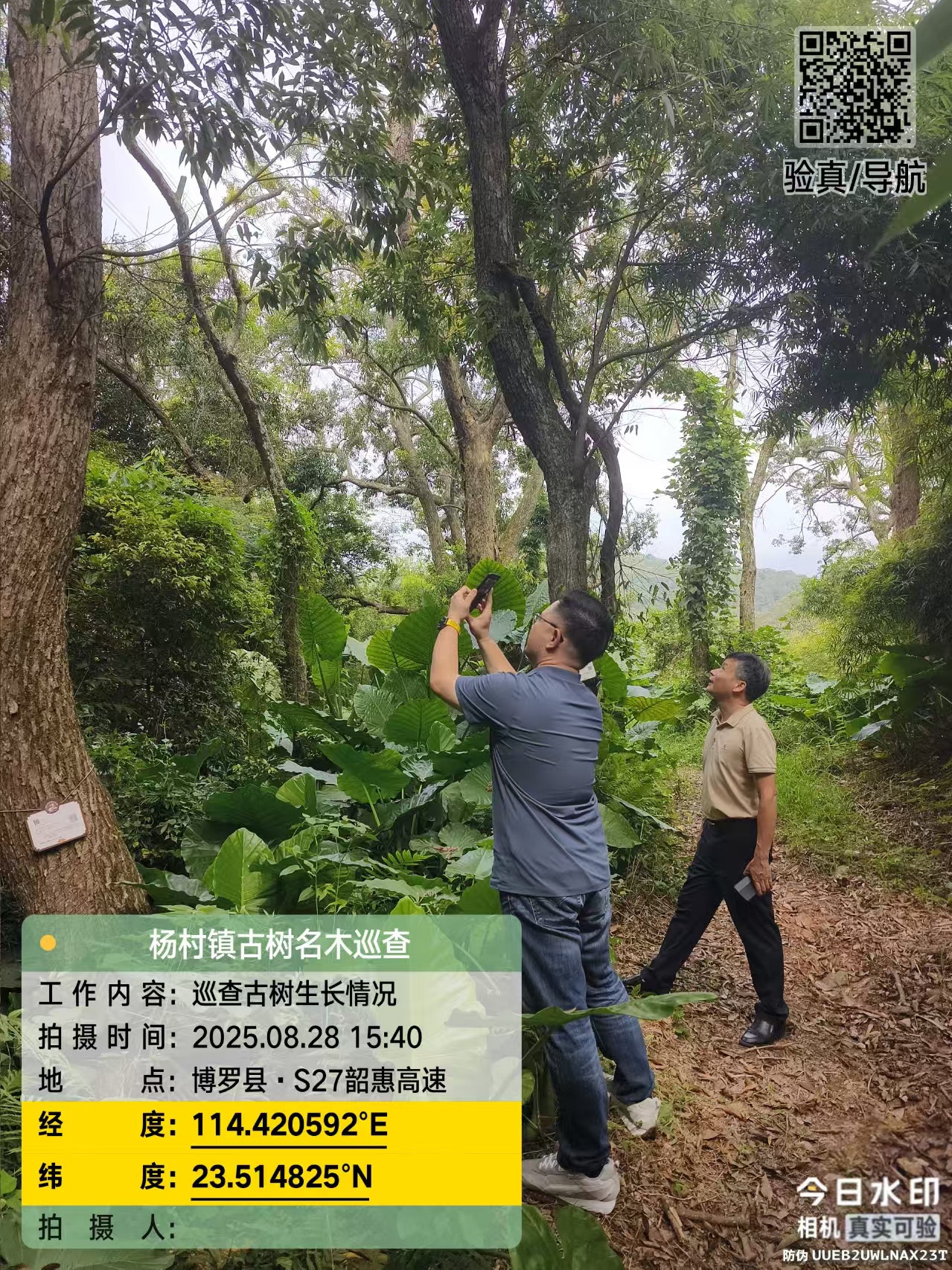 文章配圖