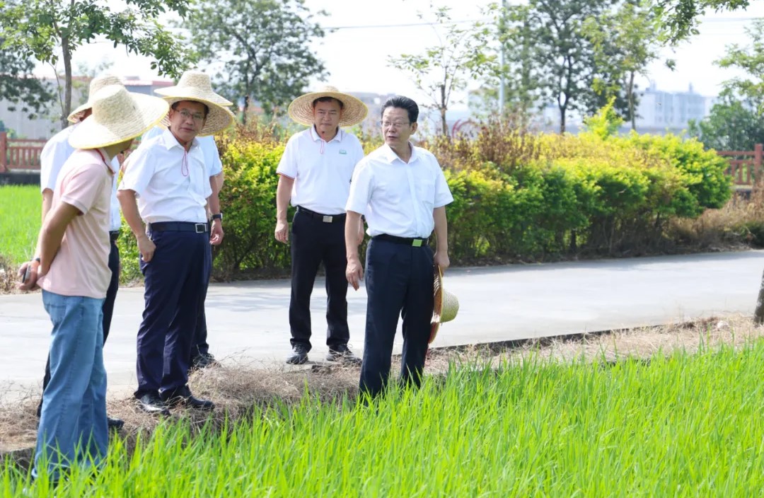 調(diào)研.jpg