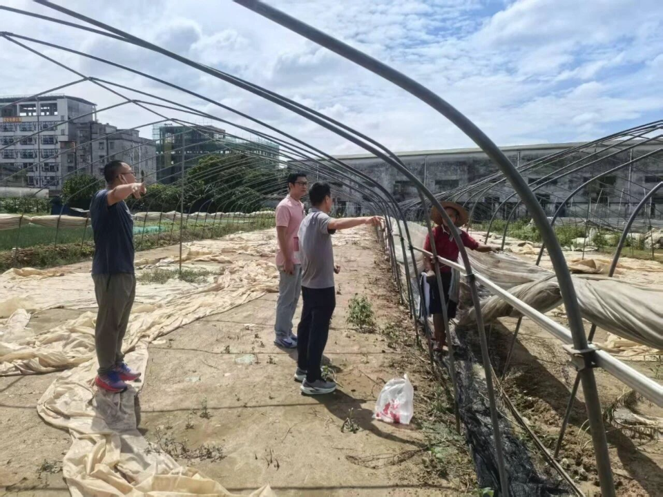 樺加沙防御3.jpg