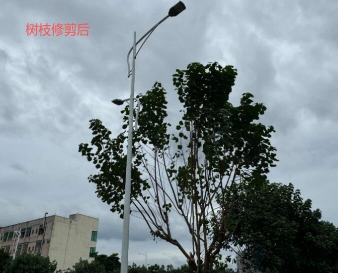 護(hù)航雙節(jié)17.jpg