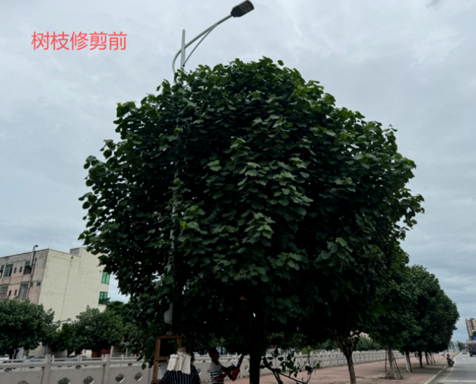 護(hù)航雙節(jié)16.png